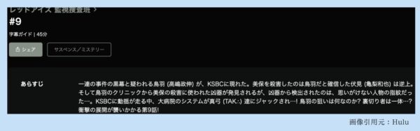 Hulu ドラマ レッドアイズ監視捜査班 配信動画